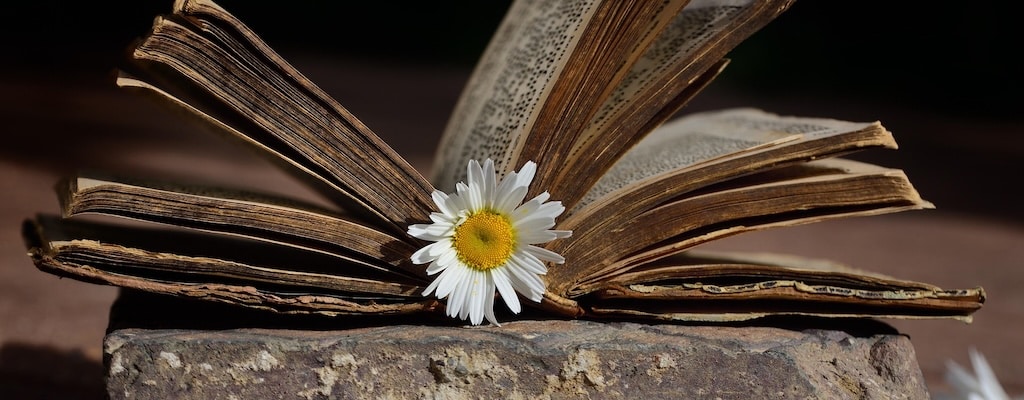 Symbolbild für wissenschaftliche Grundlagen von Affirmationen – Mensch denkt über Identität und Selbstbild nach